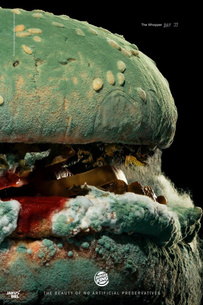 burger king plesn