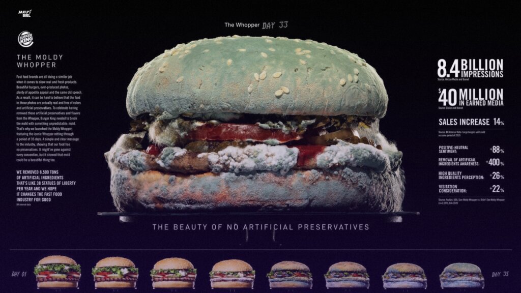 burger king plesn