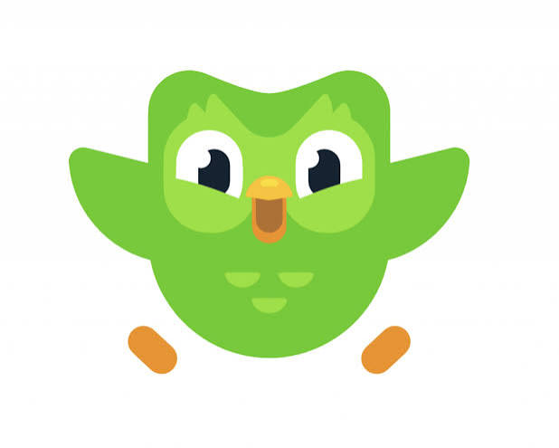 duolingo sowa