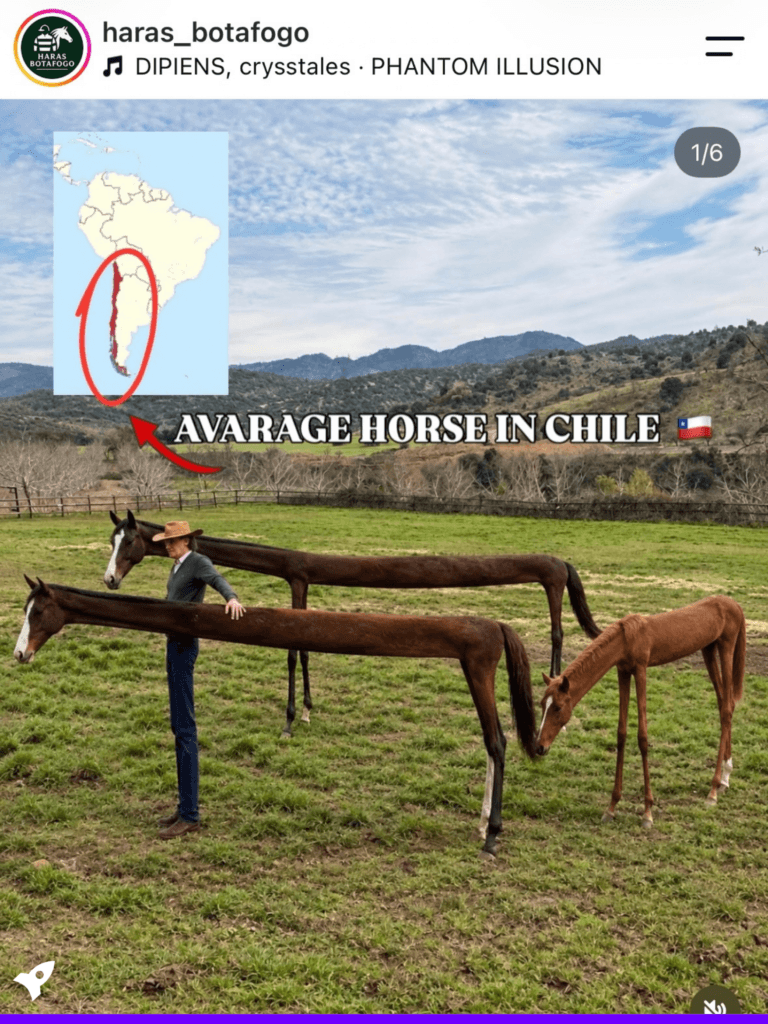 real-time marketing chile żart